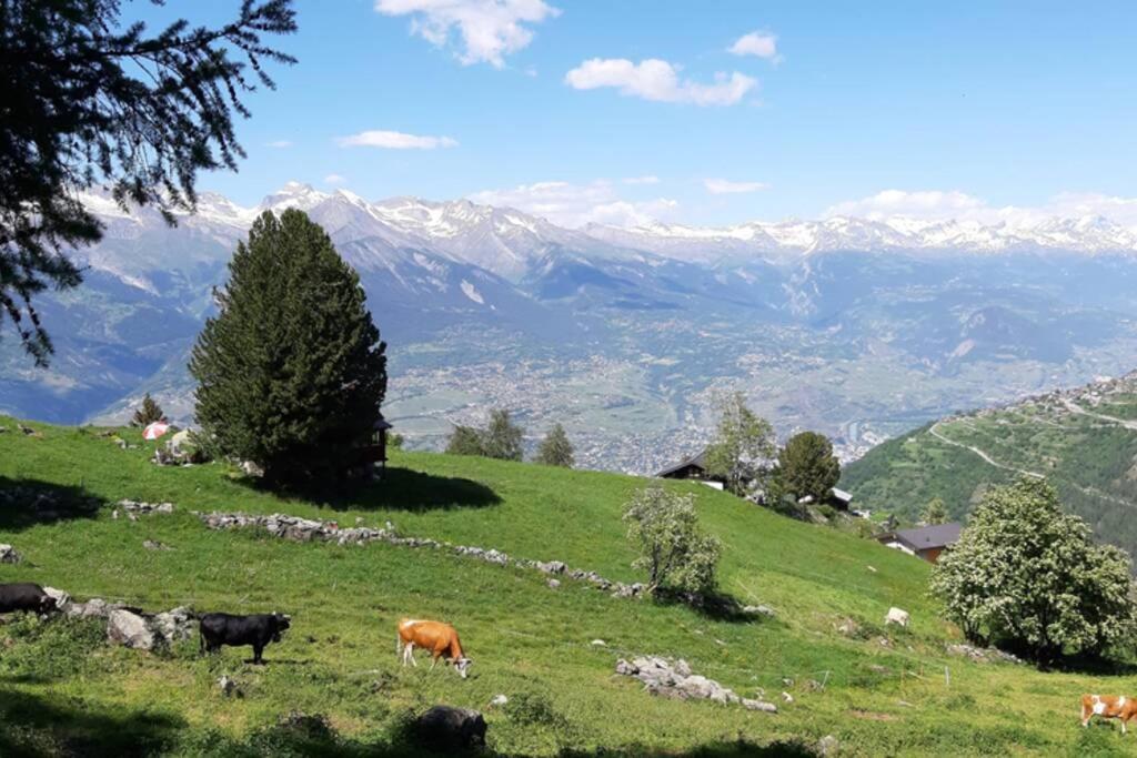 Comme Sur Un Nuage, Pour 4 Personnes