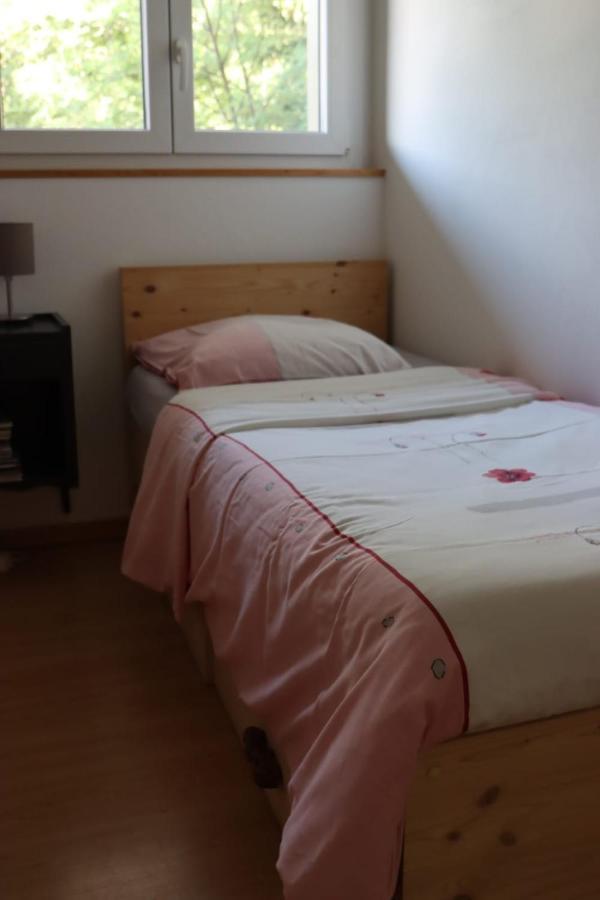 Apartamento Comme Sur Un Nuage, Pour 4 Personnes Nendaz